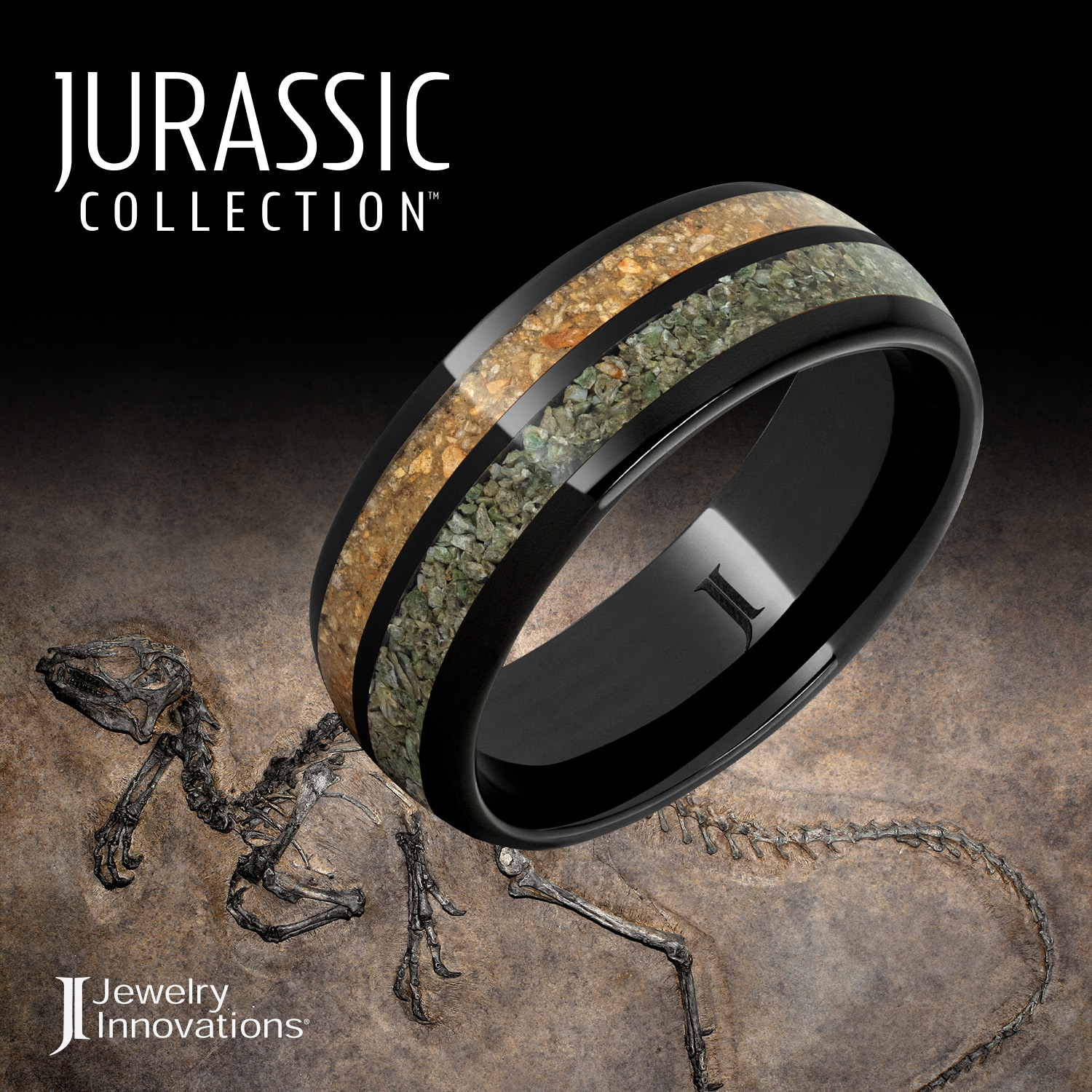Jurassic Collection with fossil with dinosaur bone inlay