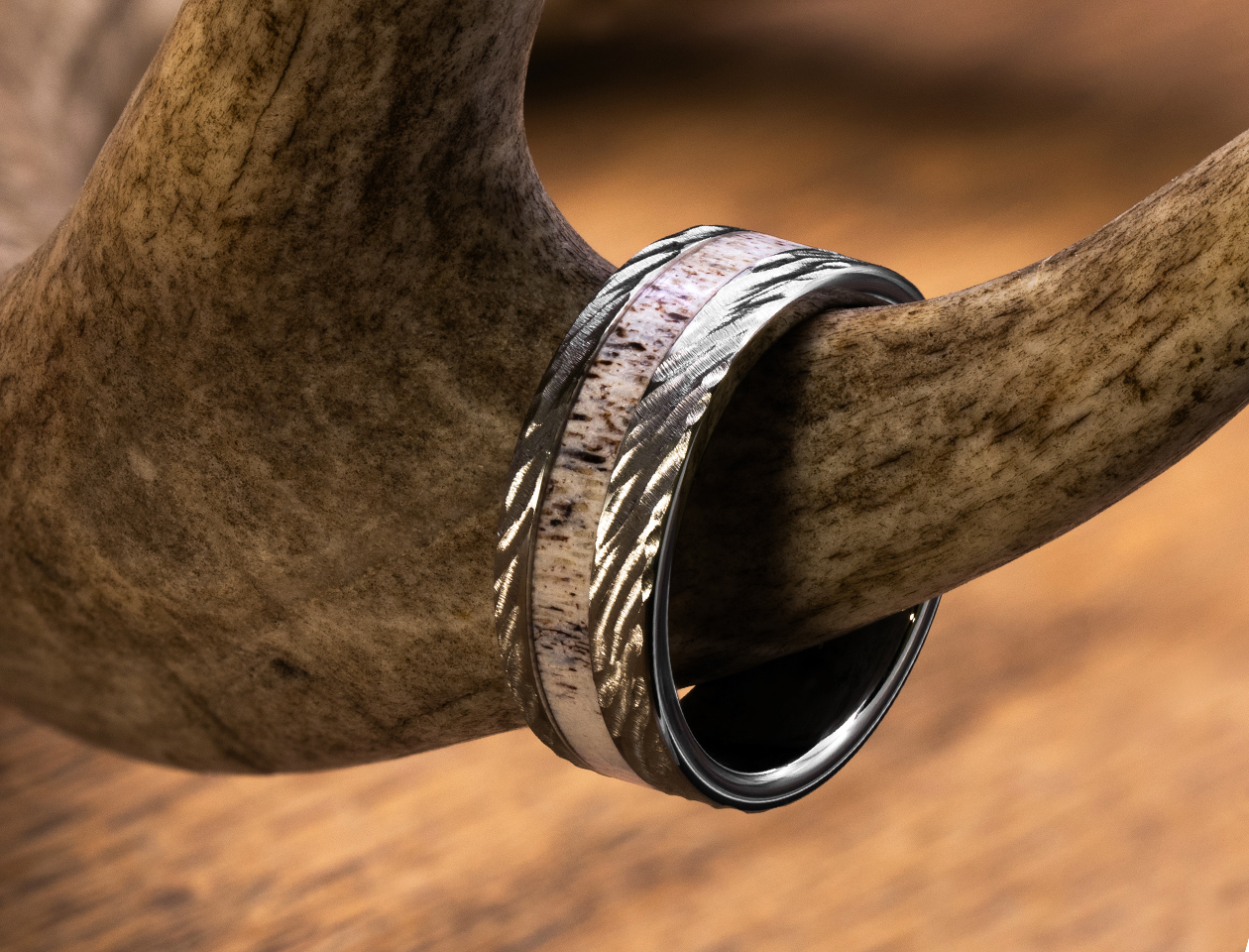 rugged tungsten ring with antler inlay sitting on antler